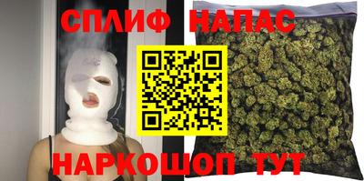 мяу мяу мука Гатчина