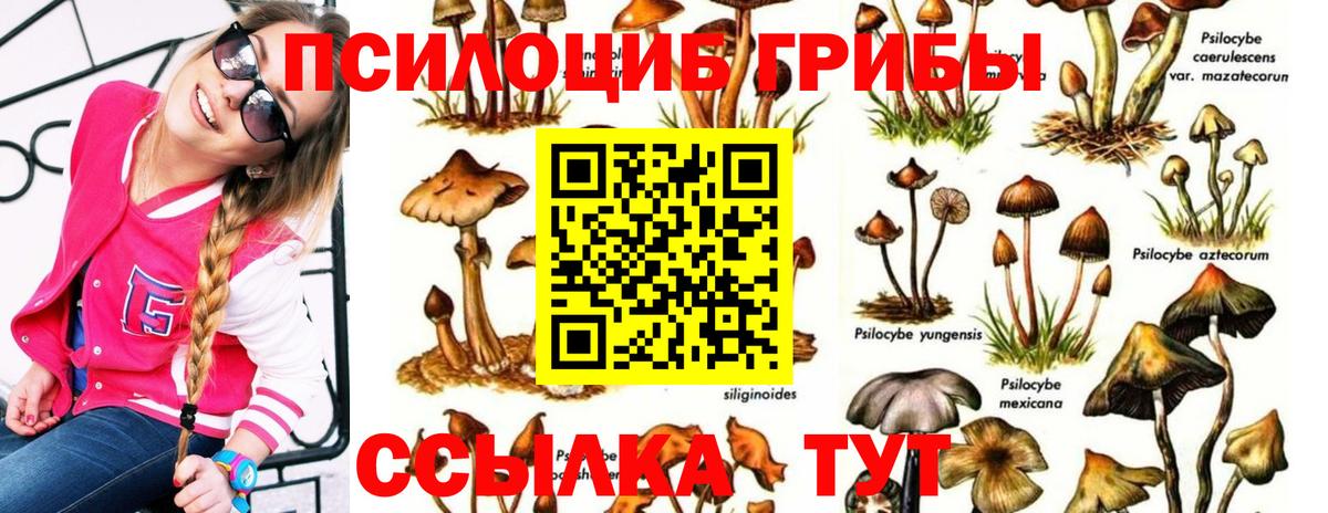 Галлюциногенные грибы MAGIC MUSHROOMS  Галлюциногенные грибы MAGIC MUSHROOMS  Малгобек  Вход с VPN 