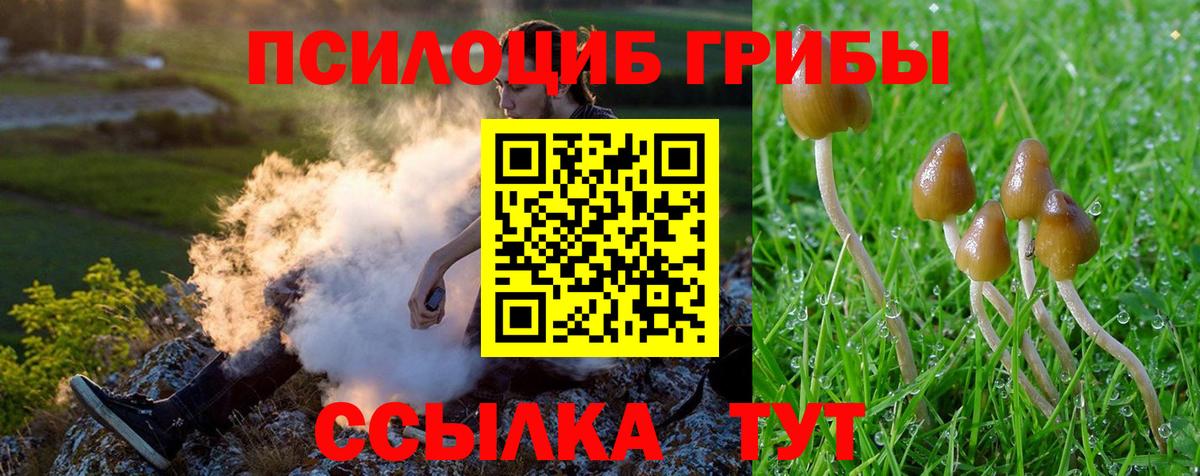 Псилоцибиновые грибы Cubensis Малгобек